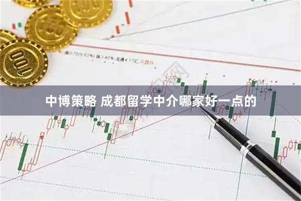 中博策略 成都留学中介哪家好一点的