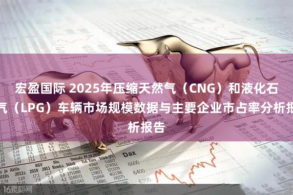 宏盈国际 2025年压缩天然气（CNG）和液化石油气（LPG）车辆市场规模数据与主要企业市占率分析报告